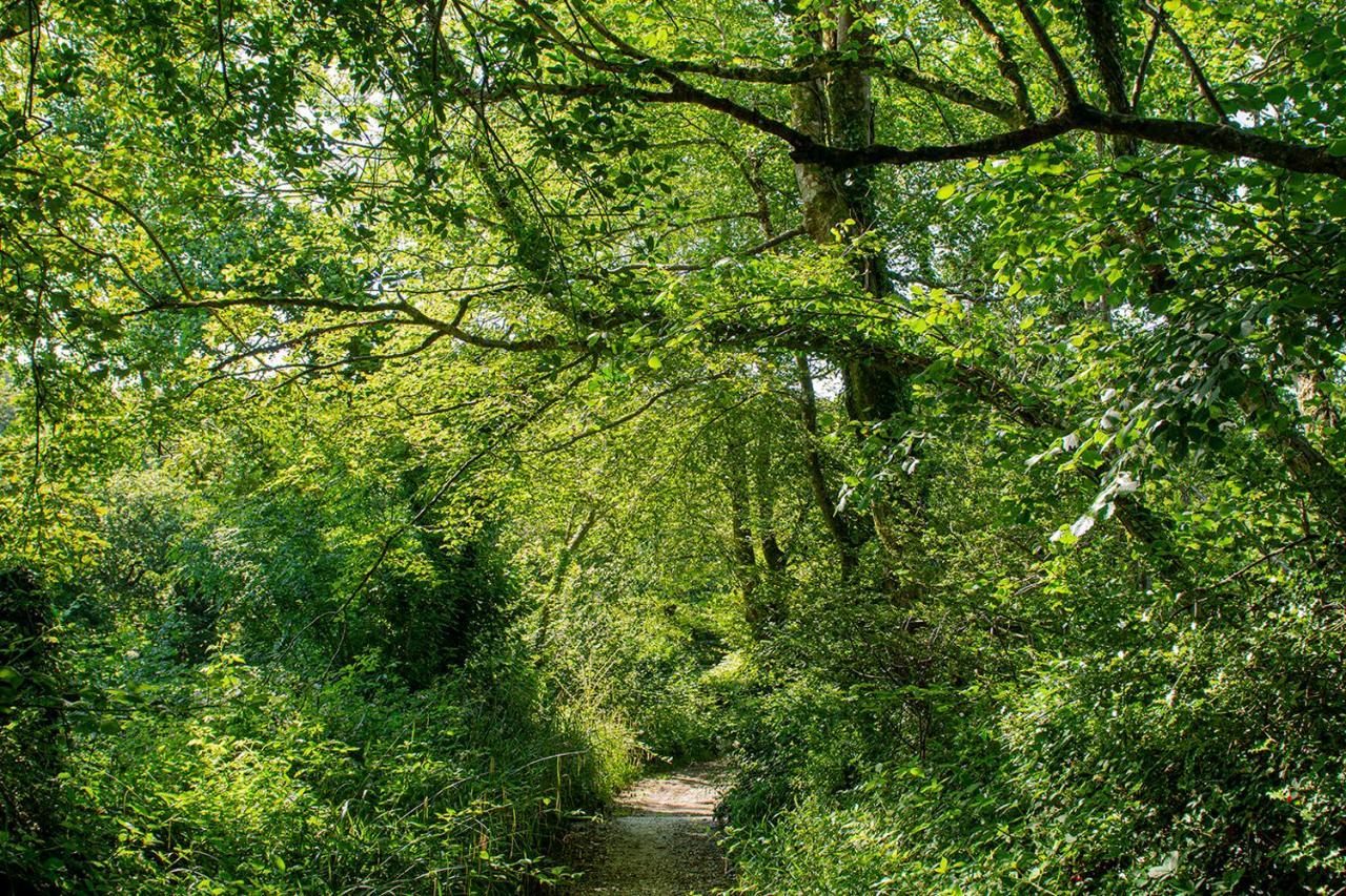 Cusgarne Manor Boutique B&B - Adults Only Truro Exteriér fotografie
